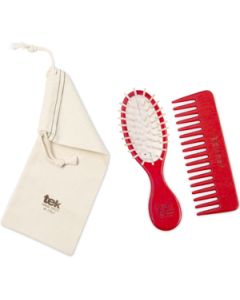 Red purse oval brush and comb